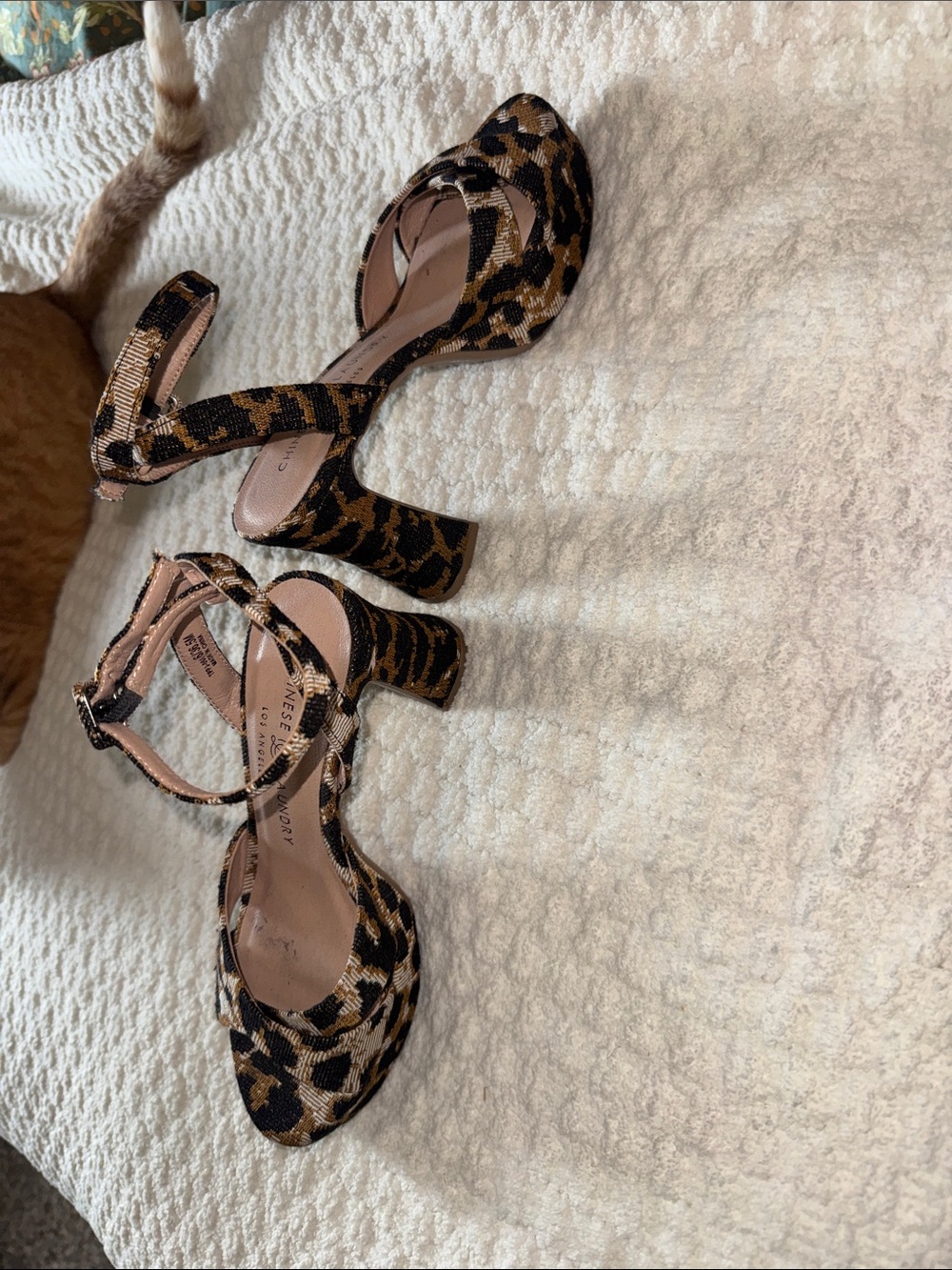 Chinese Laundry Leopard-Print Block Heel Sandals in Brown and Black - Picture 4 of 6